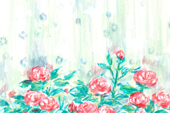 1505_薔薇と窓辺_補正s